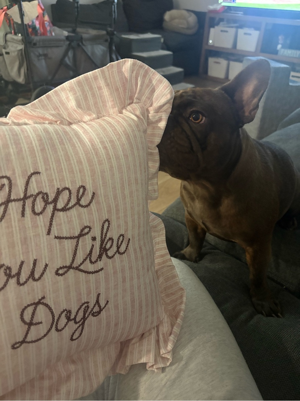 Pink “Hope You Like Dogs” Decorative Throw Pillow with Ruffle Trim - Picture 7 of 7